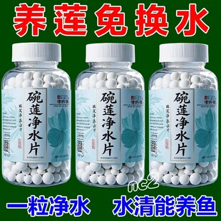 碗莲荷花净水片催芽睡莲开花黄叶叶面黑烂叶增肥水培绿植专用通用