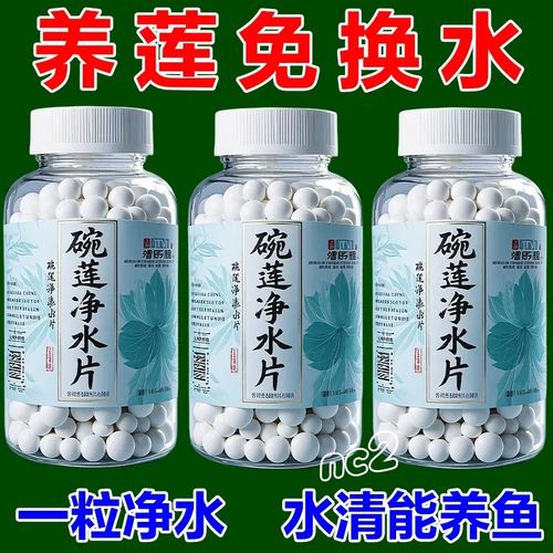 碗莲荷花净水片催芽睡莲开花黄叶叶面黑烂叶增肥水培绿植专用通用