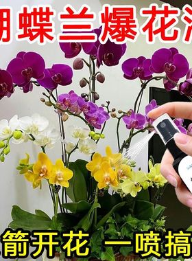 蝴蝶兰爆箭王植物营养液促花剑开花防黄叶兰花专用肥通用有机肥