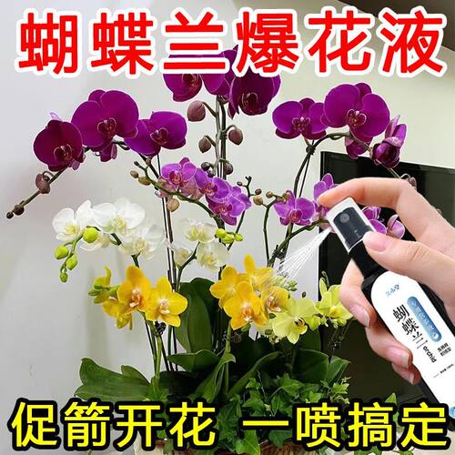 蝴蝶兰爆箭王植物营养液促花剑开花防黄叶兰花专用肥通用有机肥