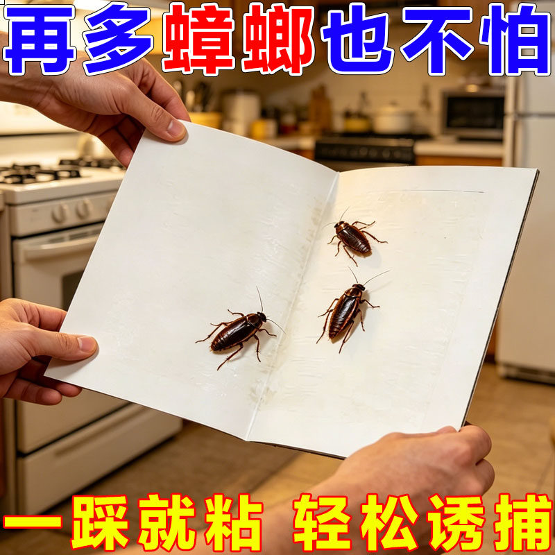 家用厨房餐厅强诱捕蟑螂粘板