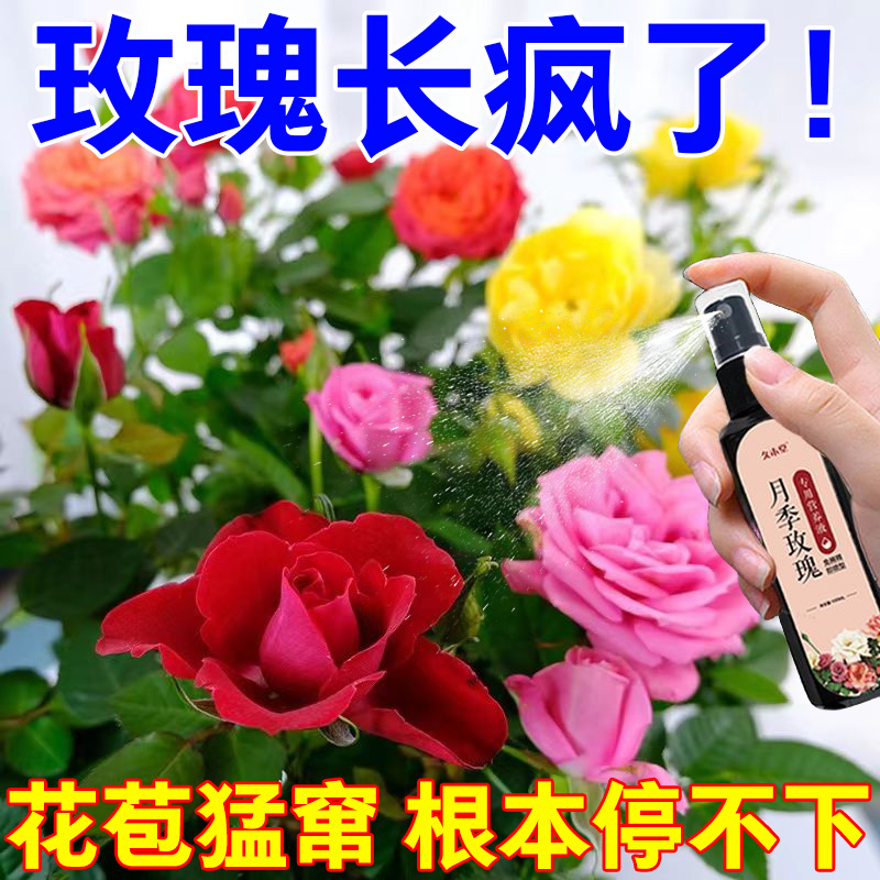 月季花专用肥玫瑰花促花养花叶子发黄枯萎复合肥缓释肥颗粒控释肥-封面