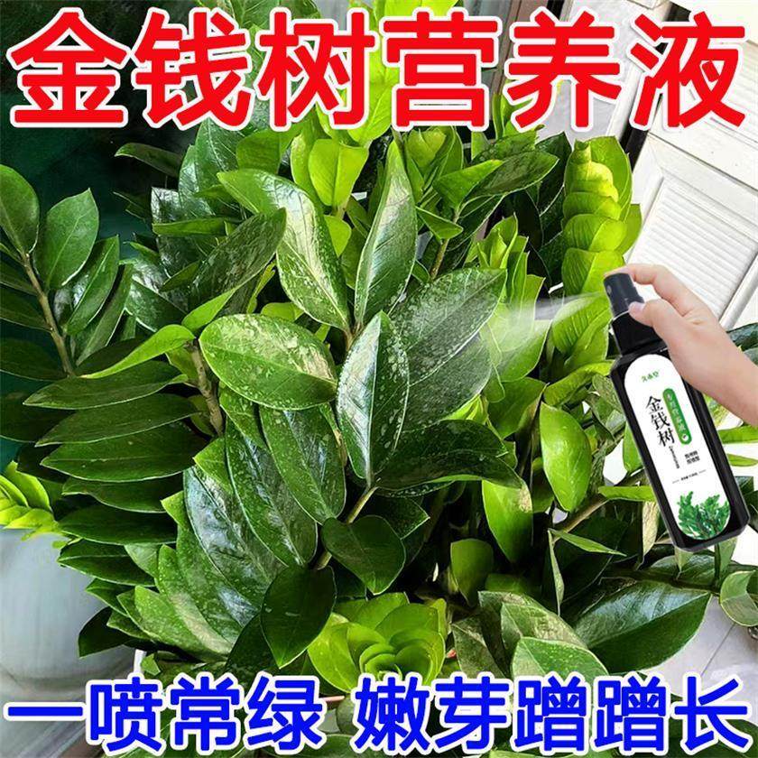 免稀释金钱树专用营养液室内发黄树叶面花肥料花卉盆栽绿植物专用,鲜花速递/花卉仿真/绿植园艺,家庭园艺肥料,淘宝优惠券,粉丝福利购,淘宝优惠卷