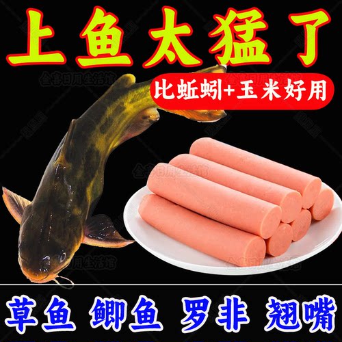 钓鱼火腿鱼饵料野钓通杀鲫鱼鲤鱼草鱼罗非鱼水库黑坑颗粒窝料鱼食