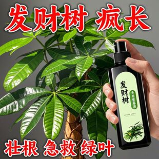 发财树营养液肥料专用肥专治烂根掉叶黄叶室内盆栽绿植物花肥通用