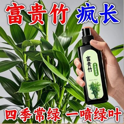 拯救富贵竹营养液专治黄叶烂根促生根催绿叶免稀释专用有机肥特浓