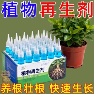 植物再生剂复活液花卉绿植盆栽通用光杆发黄发财树多肉生长营养液