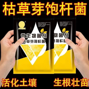 枯草芽孢菌杆菌农用哈茨木霉微生物菌剂果树蔬菜有机水溶肥防根腐