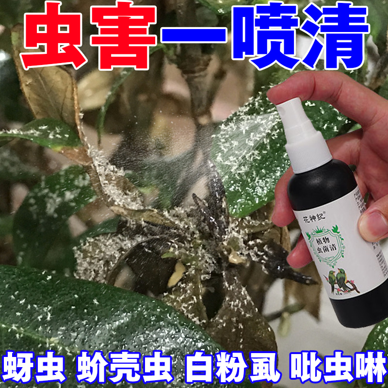 百虫清蔬菜专用农药花卉绿植杀虫剂叶面肥蜗螺净正品除消菌灵喷剂 鲜花速递/花卉仿真/绿植园艺 家庭园艺肥料 原图主图