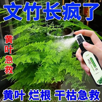 文竹专用肥营养液盆栽植物养花通用肥料水培盆景治叶子发黄免稀释