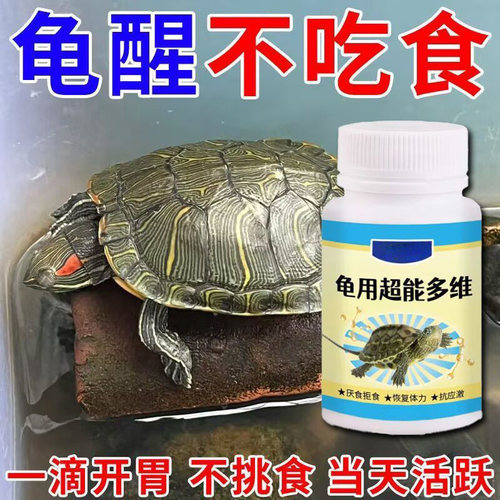 【乌龟冬眠醒来急救】乌龟电解多维电解质软甲不爱吃食不动没精神