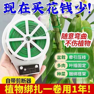 园艺扎带包塑扎线铁丝扎线月季爬藤植物多功能捆扎带绑花神器扎带