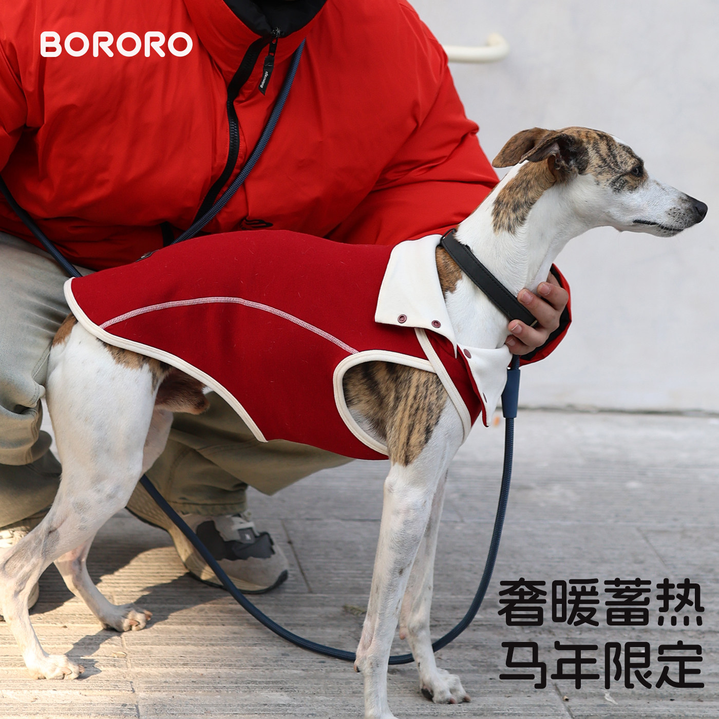 BR小灵缇大狗狗衣服秋冬季新年护肚打底背心贝灵顿惠比特宠物衣服