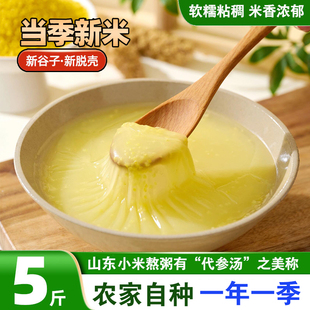 山东黄小米贡米当季新米宝宝辅食月子米小米粥五谷杂粮农家自种米
