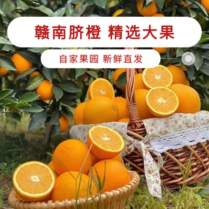 正宗赣南脐橙产地直发赣州当季新鲜甜橙子现摘大果10斤纸箱水果20