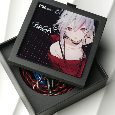 PW audio耳机升级线BAGA限量版4.4平衡线2pin 0.78插针适水月雨