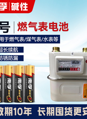 南孚电池5号电池适用燃气表煤气表天然气表水表碱性AA五号LR6正品