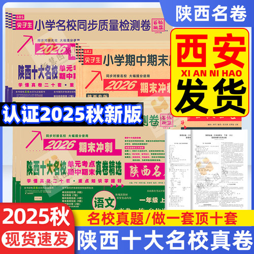 小学十大名校期末冲刺一百分