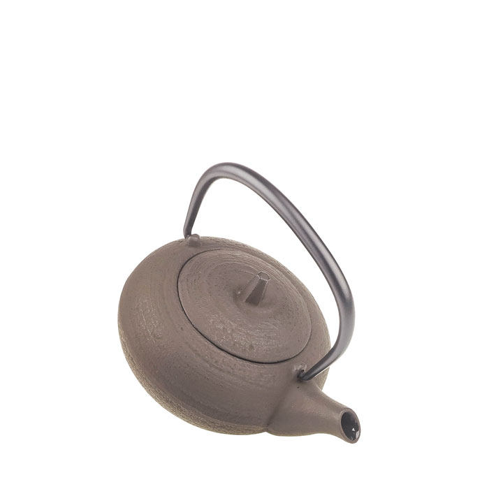 日本岩铸南部铁器纯手工铸铁壶 老铁壶急须烧水生铁茶壶功夫茶具