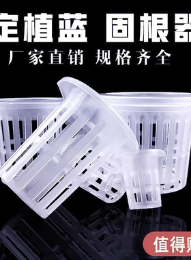 无土栽培水培定植篮鱼缸花盆固定篮加深玻璃花瓶固定架器绿萝固根