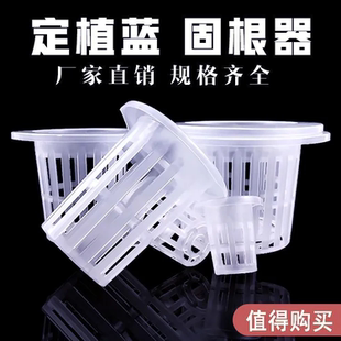 无土栽培水培定植篮鱼缸花盆固定篮加深玻璃花瓶固定架器绿萝固根