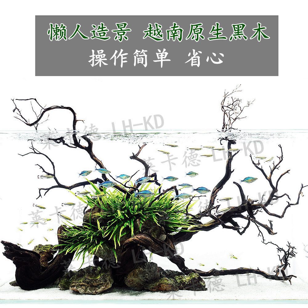 南美原生缸沉木造景装饰套餐斗鱼雷龙鱼七彩溪流缸刘公子紫柚木