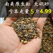 原生沙大矶沙鼠砂化妆沙南美鱼缸造景鹅卵石大矶砂溪流沙溪流缸