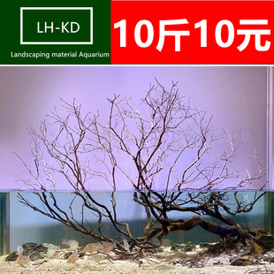 南美原生溪流缸沉木鱼缸造景套餐莫斯树杜鹃根树桩造景石榕树须