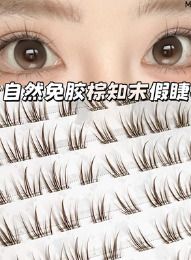 棕知末棕色假睫毛免胶自然清透单簇上镜款自粘新手假睫毛轻狐系批