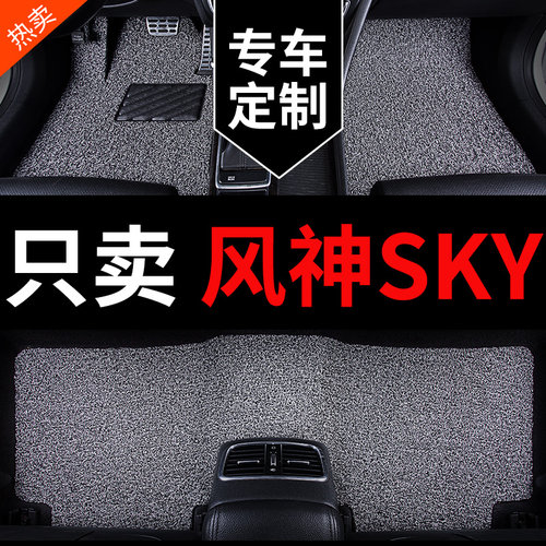 东风风神SKYEV01专用汽车脚垫