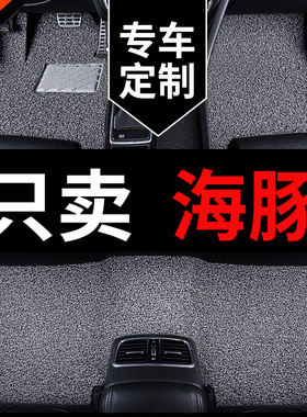 比亚迪海豚专用汽车脚垫智驾版2025款25上层垫丝圈地毯主驾驶地垫