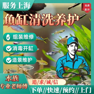 專業(yè)清洗魚缸養(yǎng)護托管上門服務(wù)優(yōu)質(zhì)護理換水過濾清理開缸消毒造景