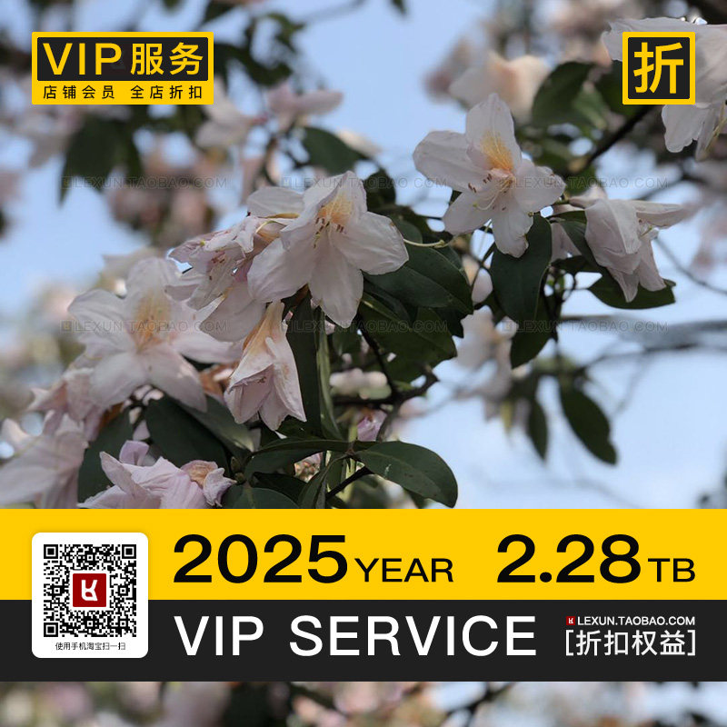 VIP | 店铺折扣 | 五折 | 高清4K8K壁纸海报图片视频3D贴图PS素材