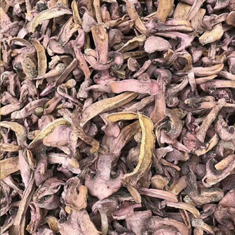 承德坝上新货野菌肉蘑菇东北松树红伞蘑天然食用菌500g包邮