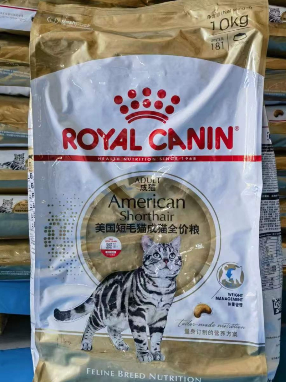 皇家猫粮成猫上海美毛美国短毛猫