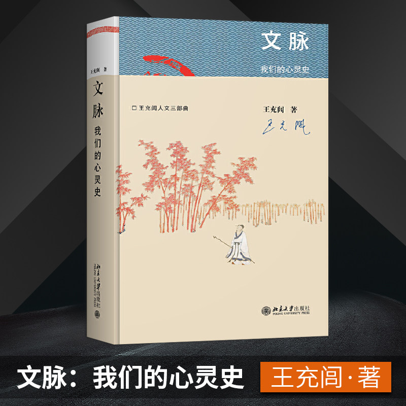 【出版社直供】文脉 我们的心灵史 王充闾 著 王充闾人文三部曲  文明演化历史血脉书 文明**先贤的心路历程书 北京大学出版社