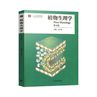 任选】植物生理学 第八版第8版 王小菁/生物化学简明教程 第六版 魏民 张丽萍 植物生理学教材 植物学生物学教程考研书籍