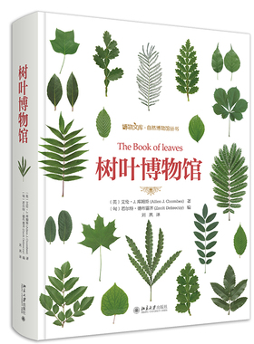 【出版社直供】树叶博物馆 艾伦 J 库姆斯著 详解树叶树种分布范围 类型叶形大小叶序分布生境等 树叶研究参考书收藏爱好者工具书