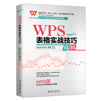 【出版社直供】WPS表格实战技巧精粹全面讲解了数据录入格式设置排序筛选分类汇总等 Excel Home著北京大学出版社