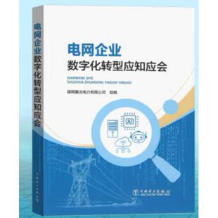 储能与综合能源系统 黄震 社 出版 9787519892005 中国电力出版 社直供 著 王丽伟