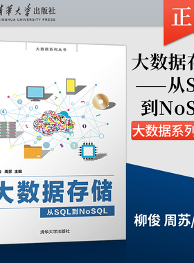 【直供】大数据存储 从SQL到NoSQL 大数据系列丛书 大数据存储与管理大数据管理 MongoDB文档数据库HBase列族数据库