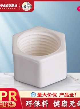 PPR给水管接头管件内螺纹内丝牙堵头胶堵头塞堵帽20 4分水管配件