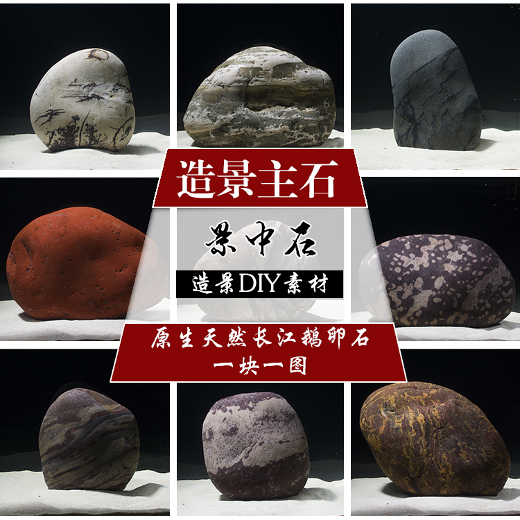 原生天然长江石南美适用鱼缸造景