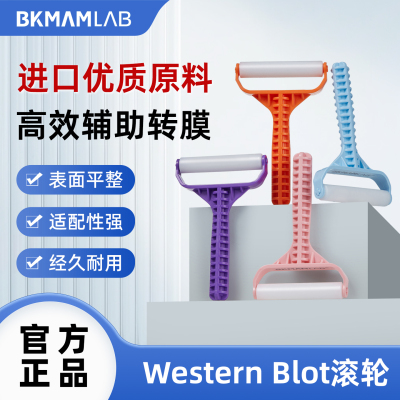 比克曼生物Western Blot转膜滚轮气泡WB辅助转膜经久耐用实验器材
