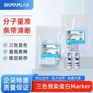 BKMAMLAB比克曼 三色预染蛋白Marker蛋白标记条带清晰分子量准