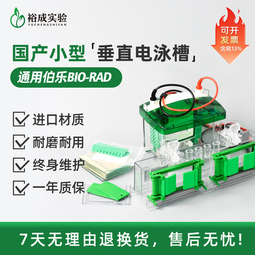 Bio-Rad/伯乐小型垂直电泳槽