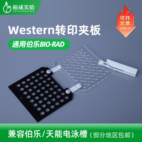 裕成实验转印槽电转夹实验耗材