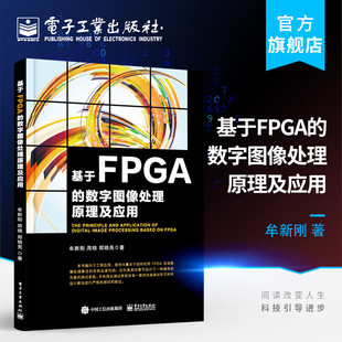 FPGA程序设计和图像与视频处理关键技术书籍 利用FPGA进行图像处理和视频分析工程开发书 基于FPGA 数字图像处理原理及应用