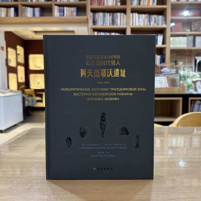 正版书 东欧平原近冰川地带的旧石器时代猎人：阿夫杰耶沃遗址 文物出版社