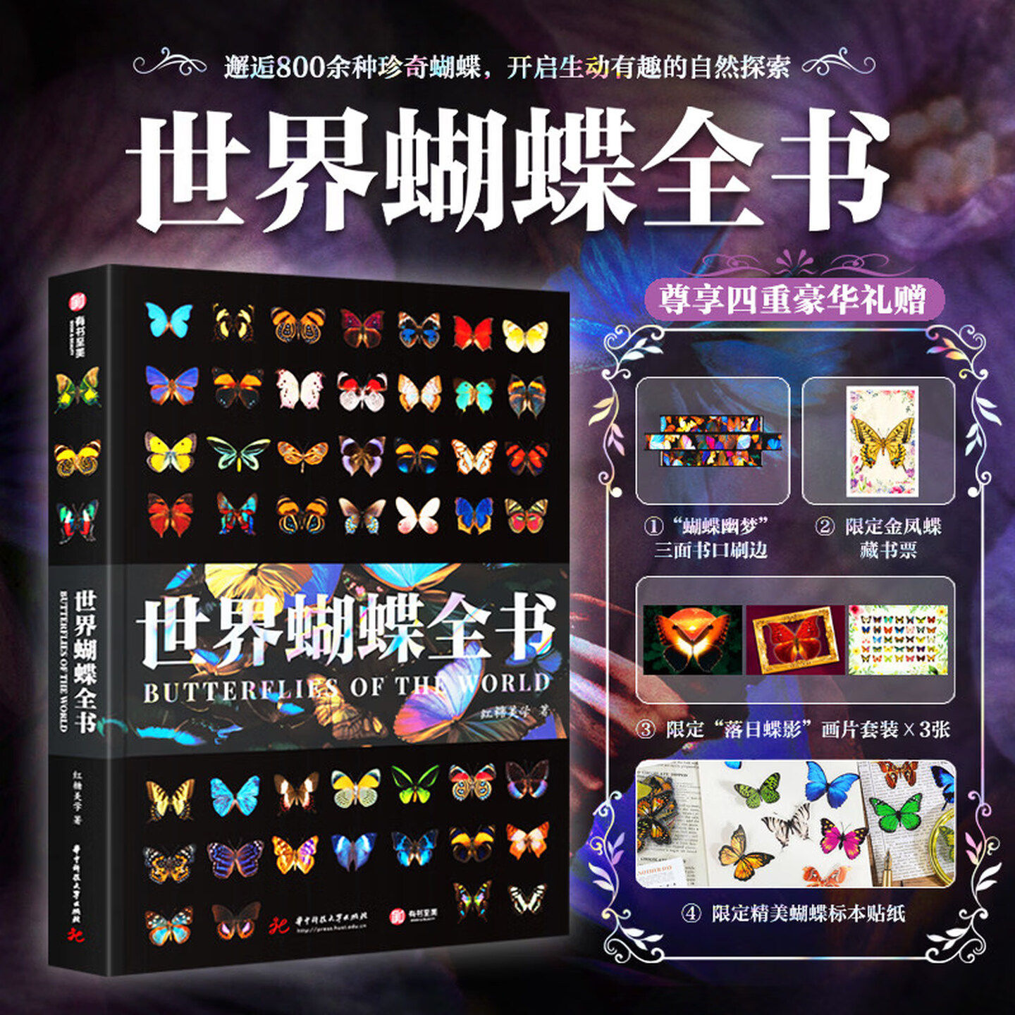 【正版新书】世界蝴蝶全书刷边版 800多种珍奇蝴蝶 蝴蝶百科全书科普书籍 野外蝴蝶品种分类科普读物鉴赏 有书至美
